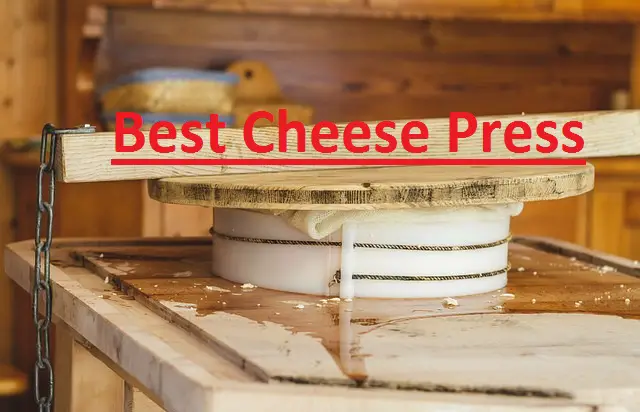 Best Cheese Presses
