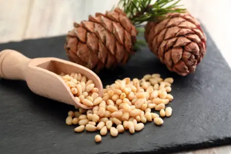 Find Pine Nuts in the Grocery Store