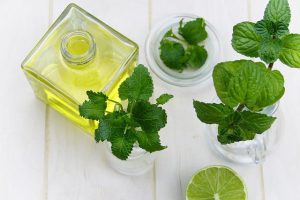 Find Peppermint Oil in Stores