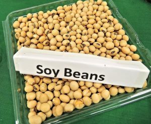 Find Soybeans in Grocery Store