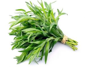 Replacement For Tarragon