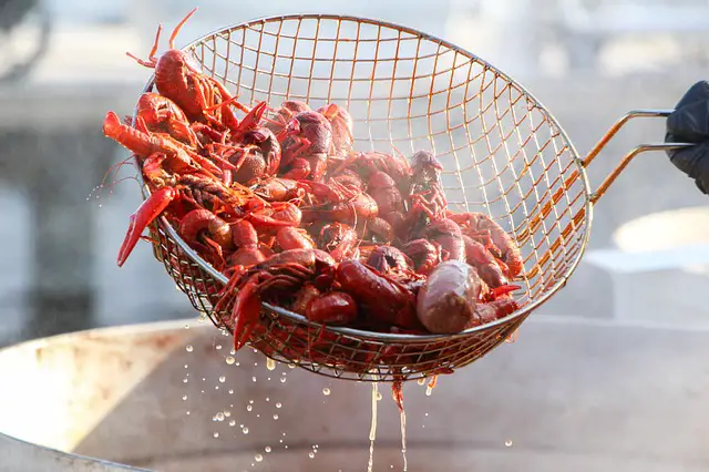 How Many Crawfish in a Pound