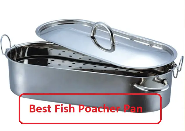 Best Fish Poacher