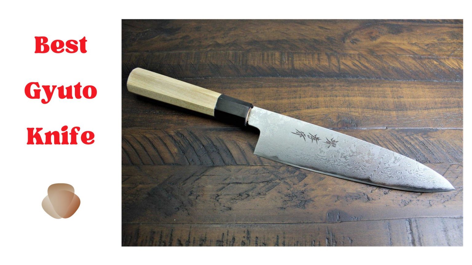 What is the Best Gyuto Knife on the Market? Fast Food Justice